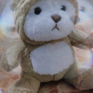 Cute Brown Teddy Bear